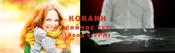 гашик Сафоново